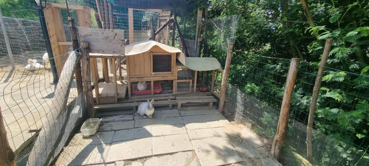 Agriturismo I Millepini Case Malva المظهر الخارجي الصورة